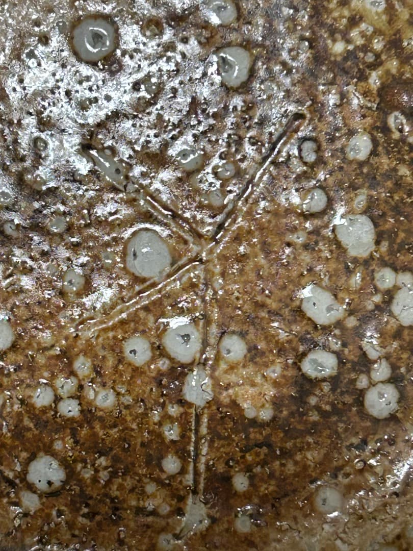 灰釉 平向付 ５枚組　(伊賀焼 高台皿)　蓮善隆 作