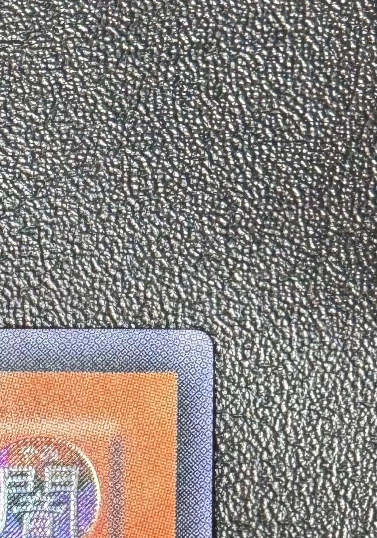 真紅眼の闇竜/レッドアイズダークネスドラゴン/レリーフ/アルティメットレア