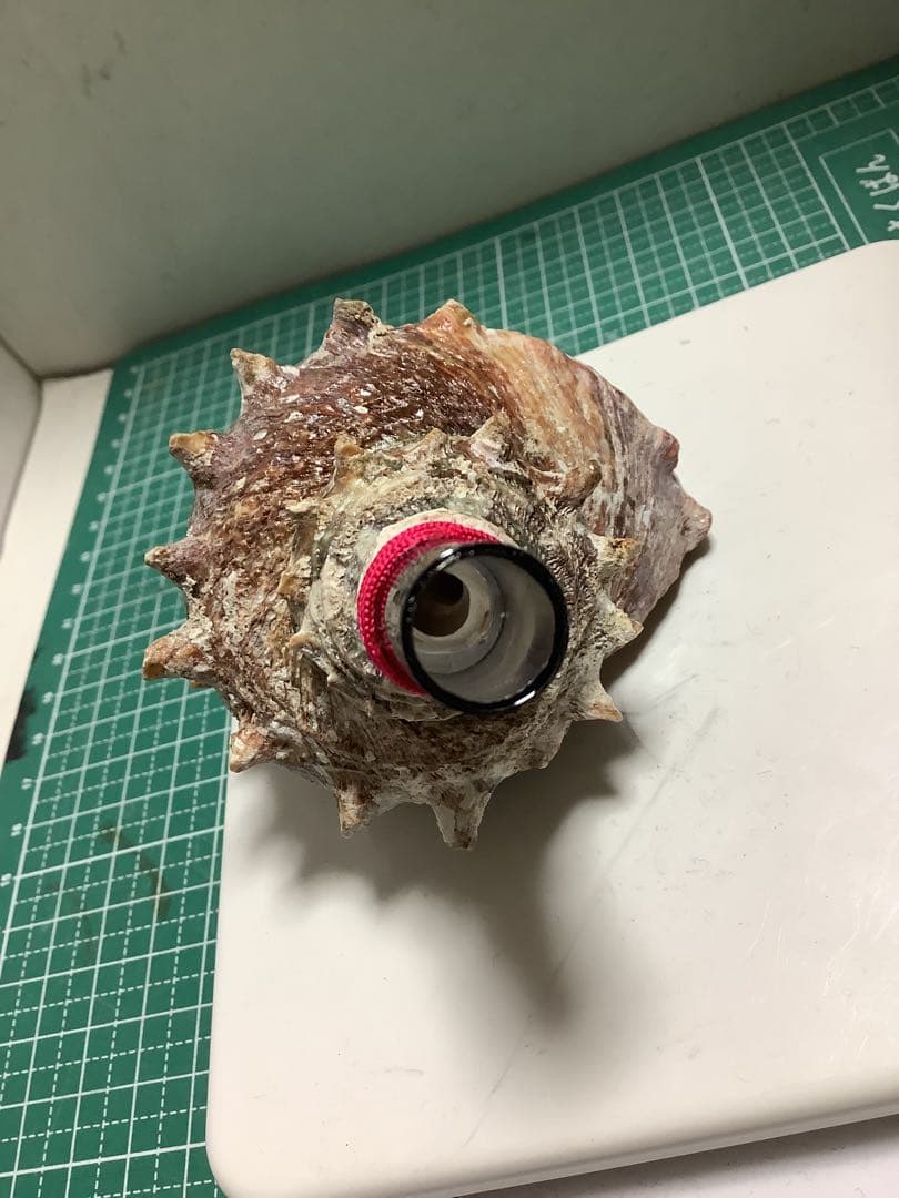 ヤフメリ7・法螺貝・山伏・修験者・金峯山・羽黒山・戦国武将・安全登山・熊除け笛