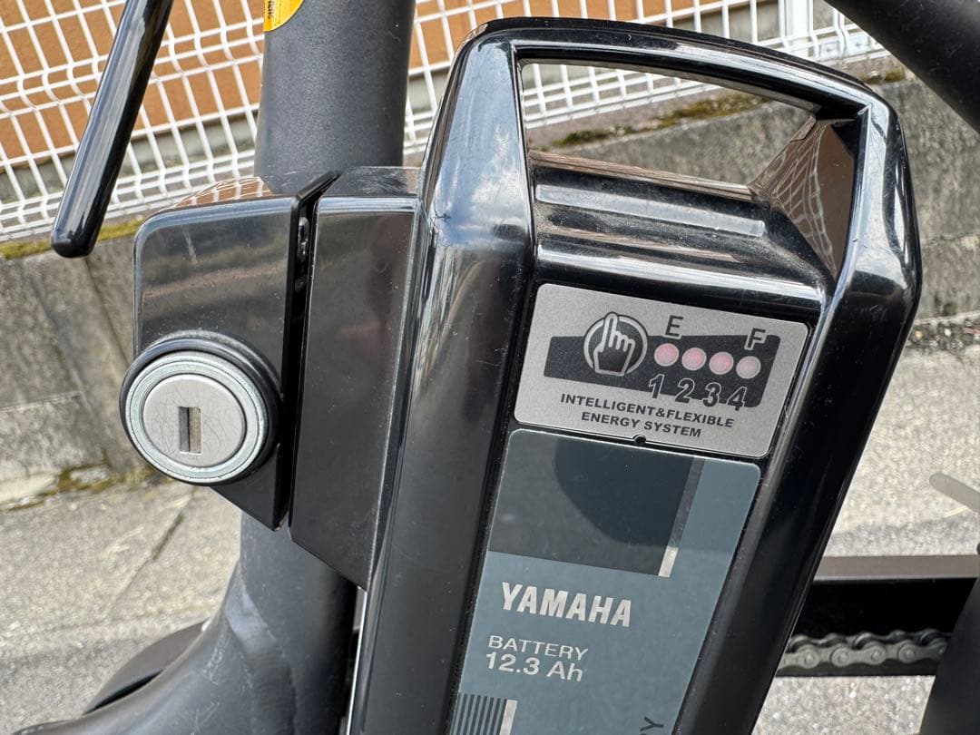 ぴょんこちゃんYAMAHA PAS babby(12.3Ah)