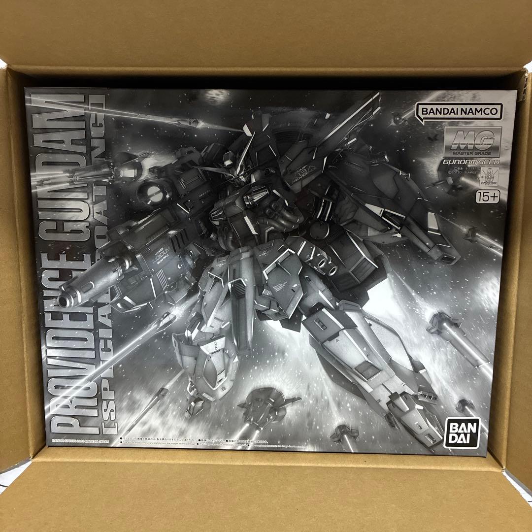 MG 1/100 プロヴィデンスガンダム　スペシャルコーティング