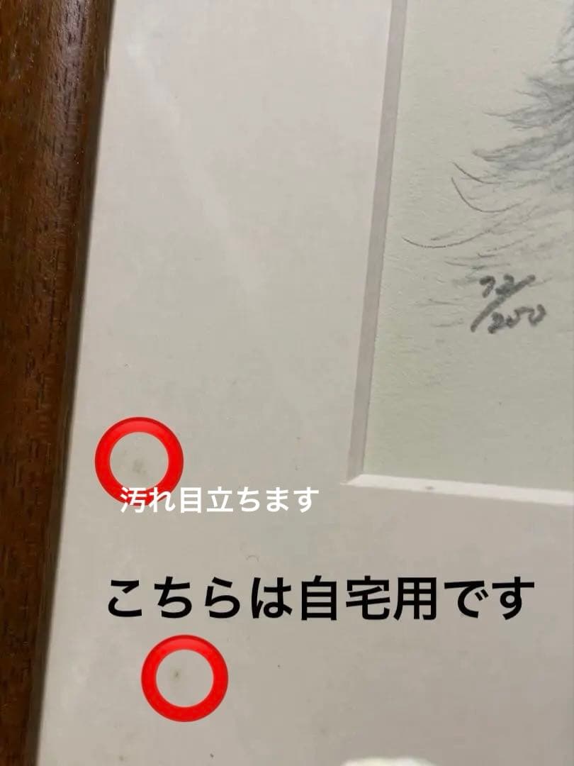 八代亜紀さんのリトグラフ　子猫の絵 デッサン　チロたん