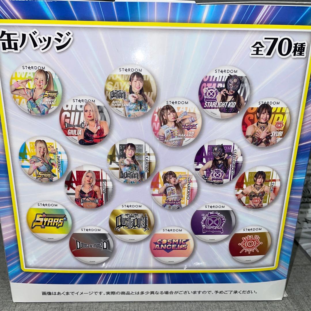 スターダム くじ　BIGアクリルスタンド　フィニッシュ賞　トレーディング缶バッジ