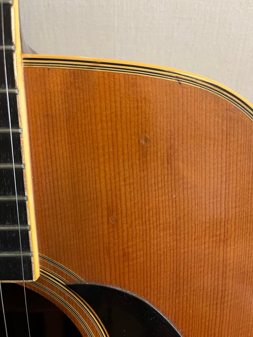 Gibsonセミハードケース付き！TOKAI Cat's Eyes