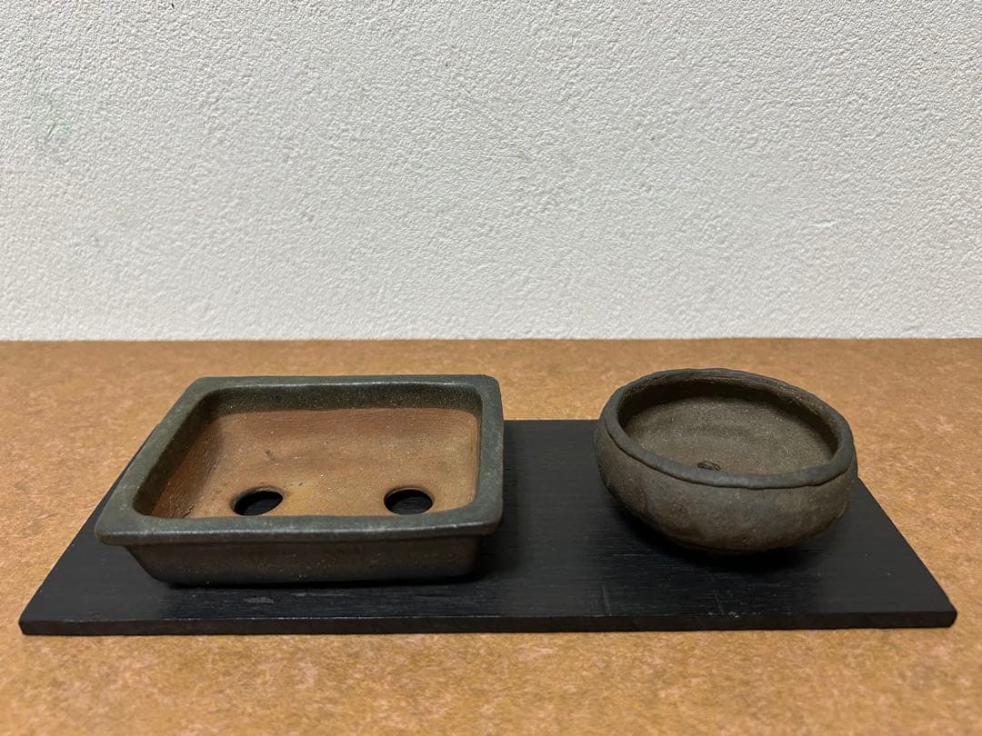 暁雲　盆栽鉢　ミニ盆栽　小品盆栽　山野草