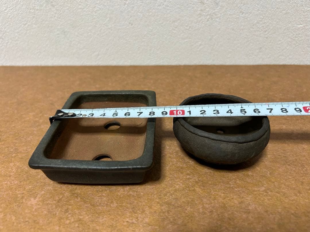 暁雲　盆栽鉢　ミニ盆栽　小品盆栽　山野草