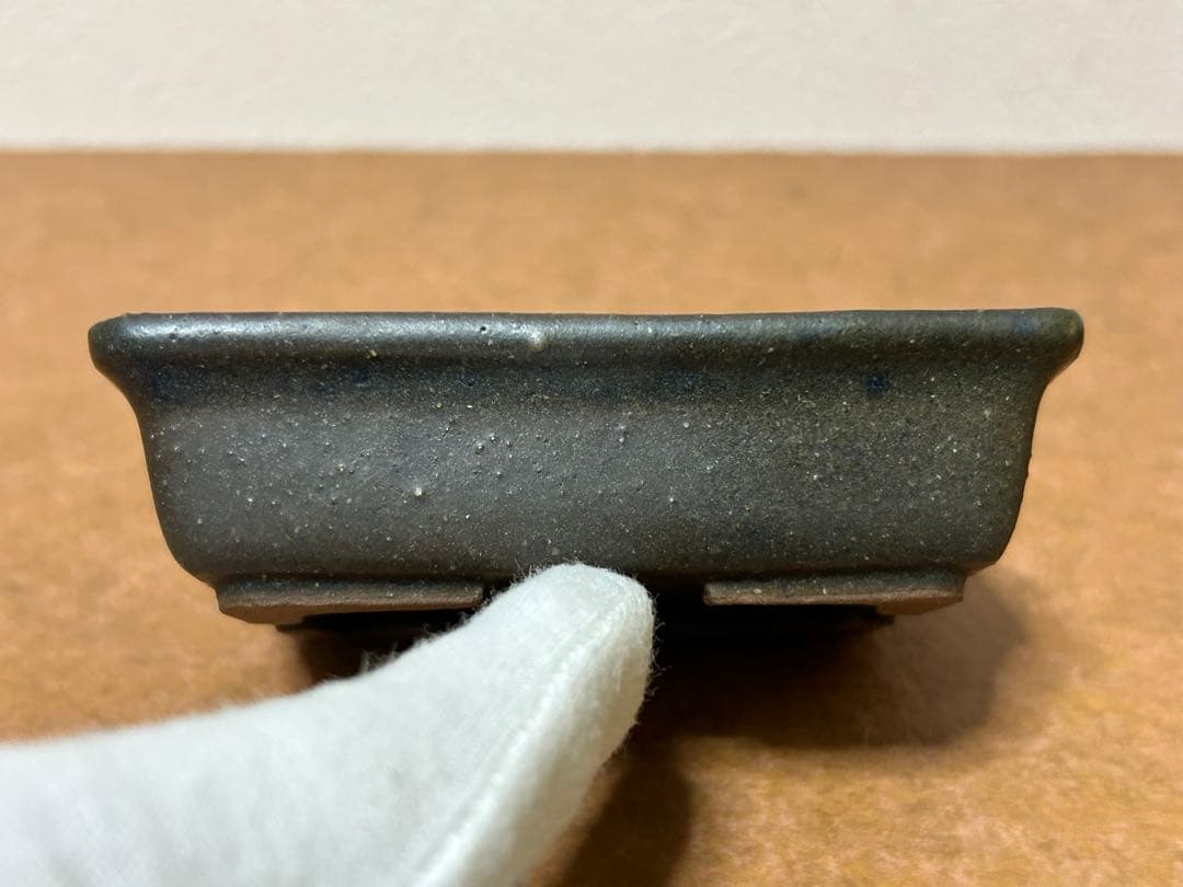 暁雲　盆栽鉢　ミニ盆栽　小品盆栽　山野草