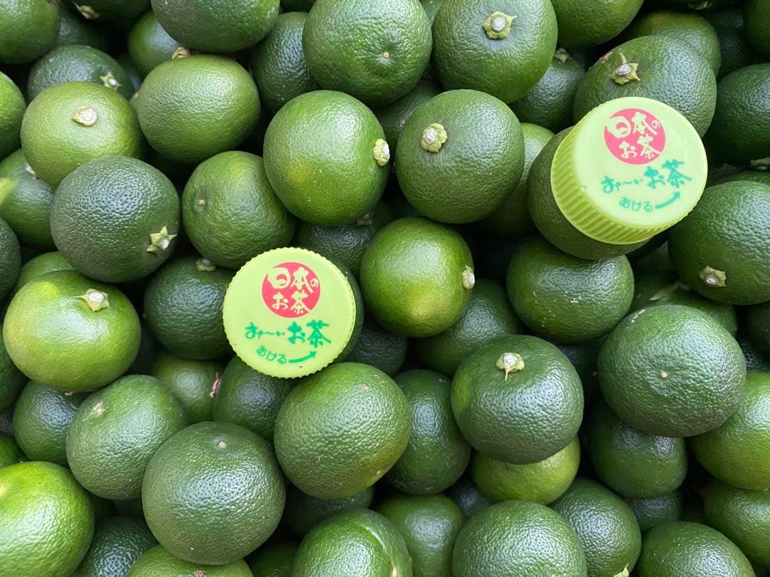 徳島県神山町産　《冷蔵貯蔵すだち》 綺麗なLサイズ　5キロ　　①