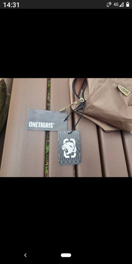 ワンティグリステント