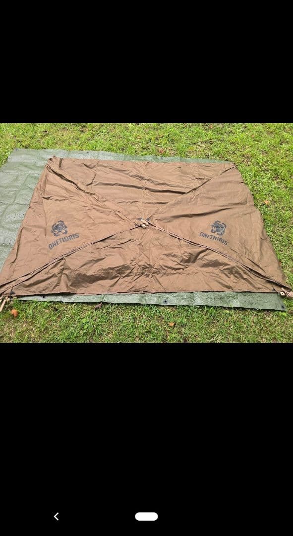 ワンティグリステント