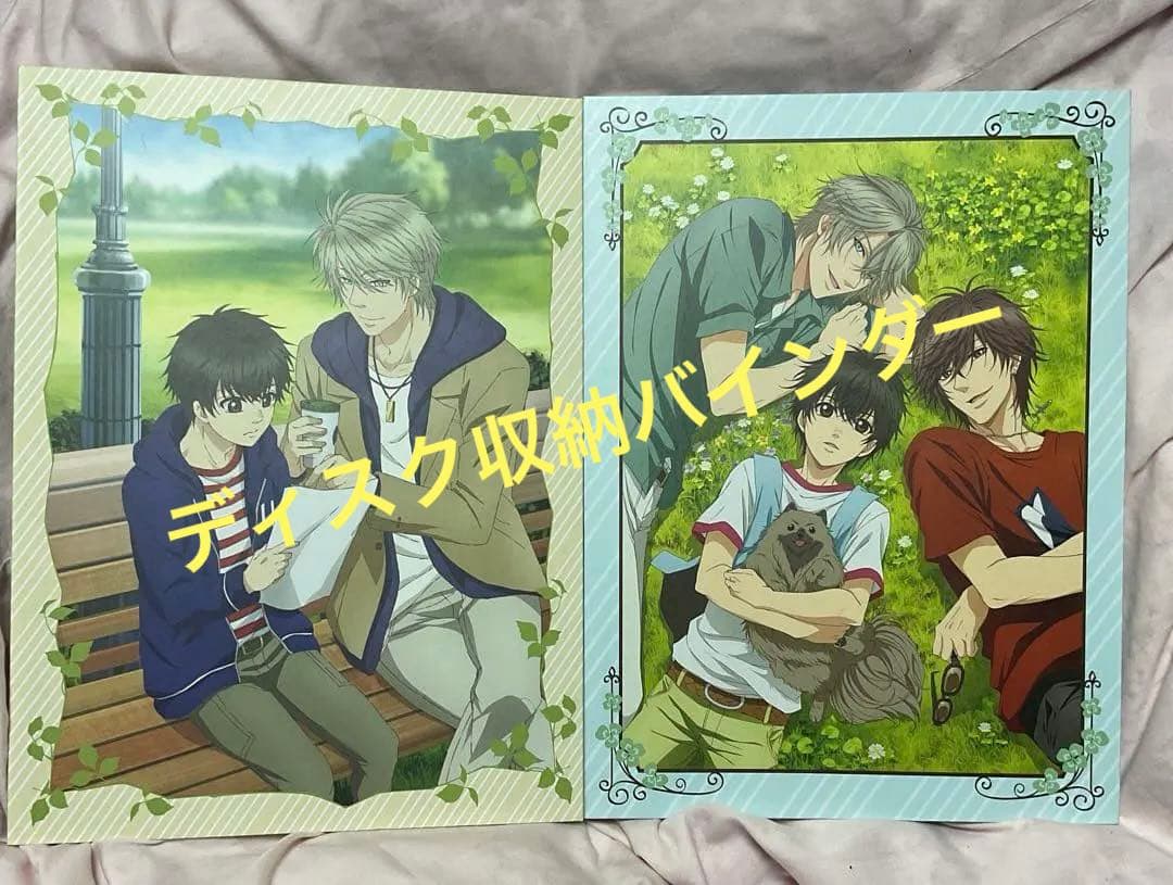 あべ美幸 SUPER LOVERS DVD全巻購入特典ディスク収納バインダー2種