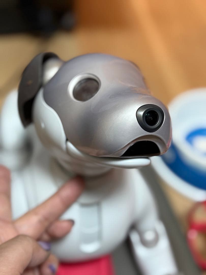 SONY AIBO☆アイボリーホワイト☆動作確認済