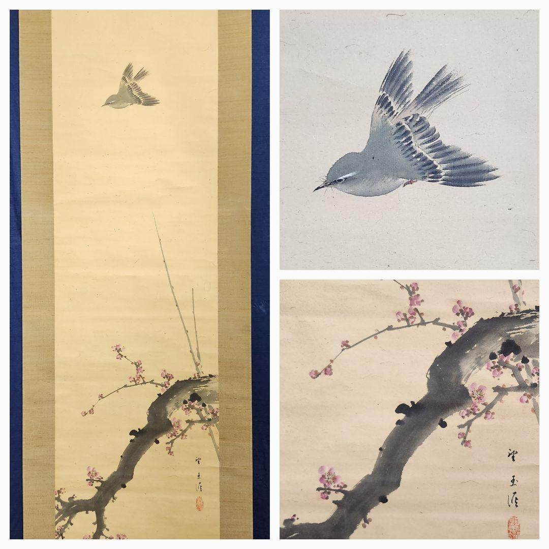 【紅梅に鴬図】望月玉渓 2616 ウグイス 望月玉成識箱　掛け軸　肉筆