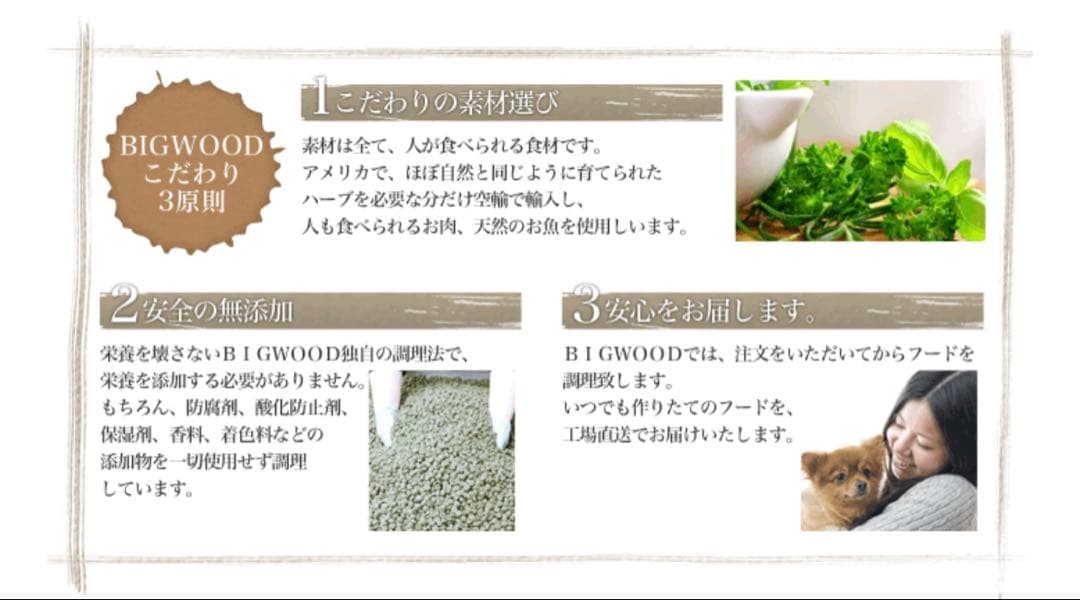 ふ～じこちゃん