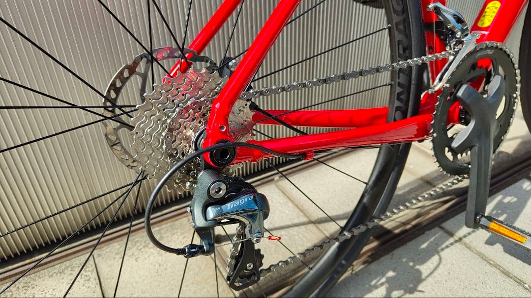 自転車本体 TREK Domane AL4 Gen4 2024