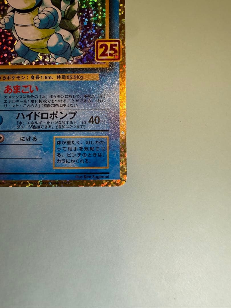 カメックス 25th