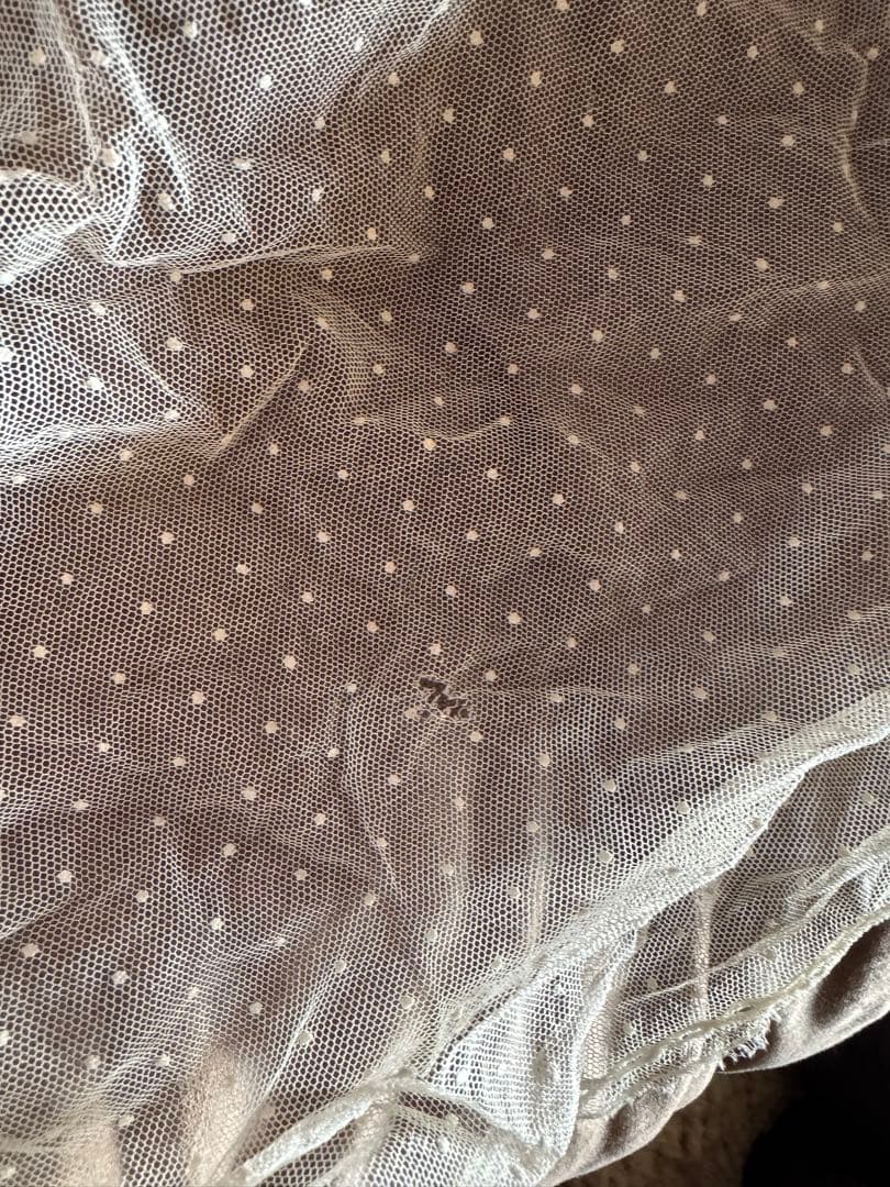 m*︎様 フランスアンティークコットンドット花刺繍レース大きめ