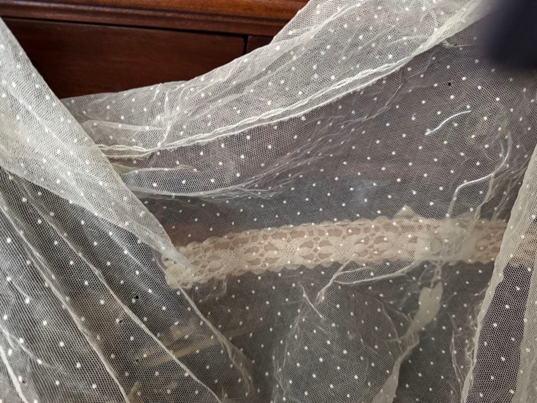 m*︎様 フランスアンティークコットンドット花刺繍レース大きめ