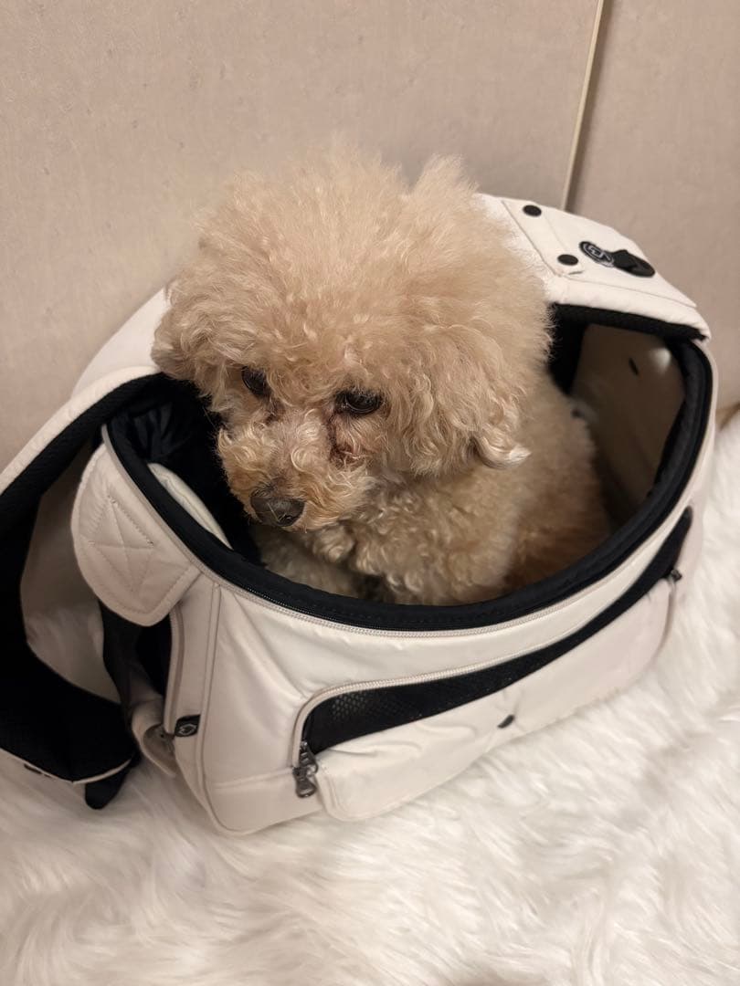 【美品】SSOOOK SLINGBAG(バッグ右）ベージュ M