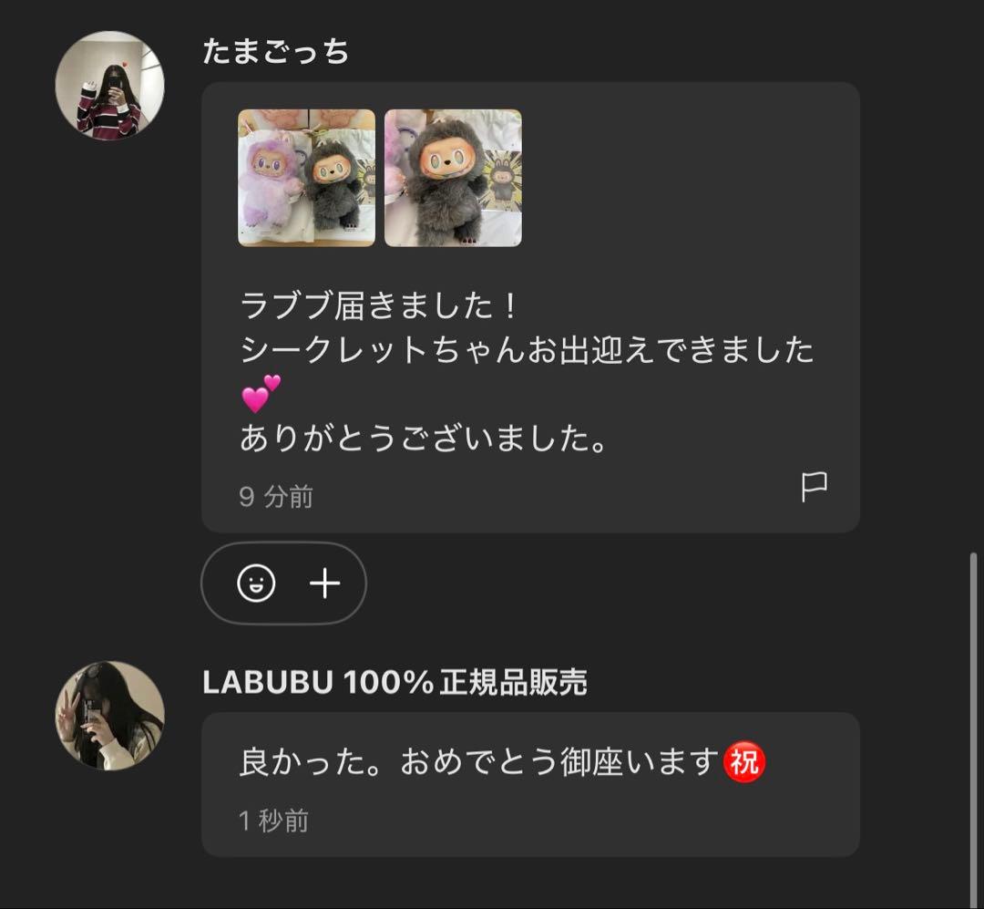 【正規品・未開封】 Labubu Big into Energy 6箱