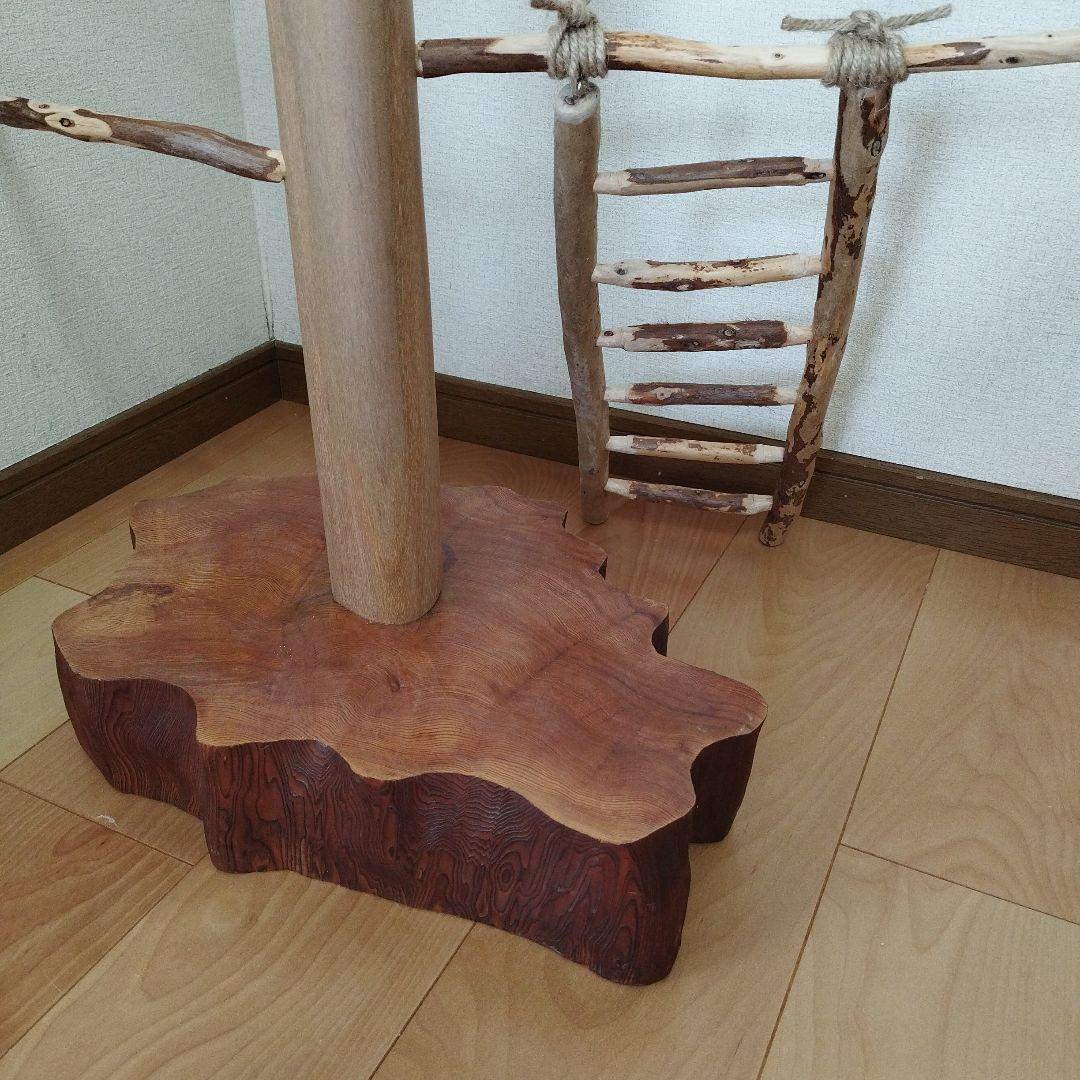 【中型鳥さん用】螺旋状♬バードアスレチック