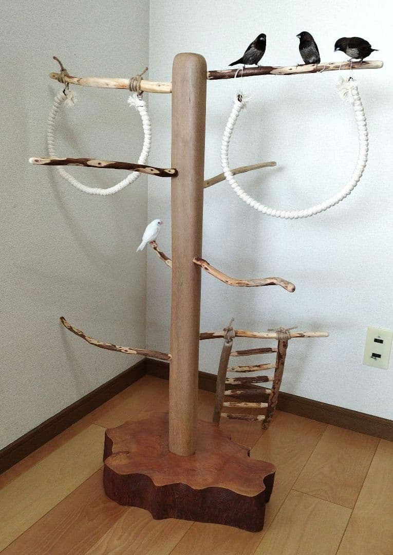 【中型鳥さん用】螺旋状♬バードアスレチック