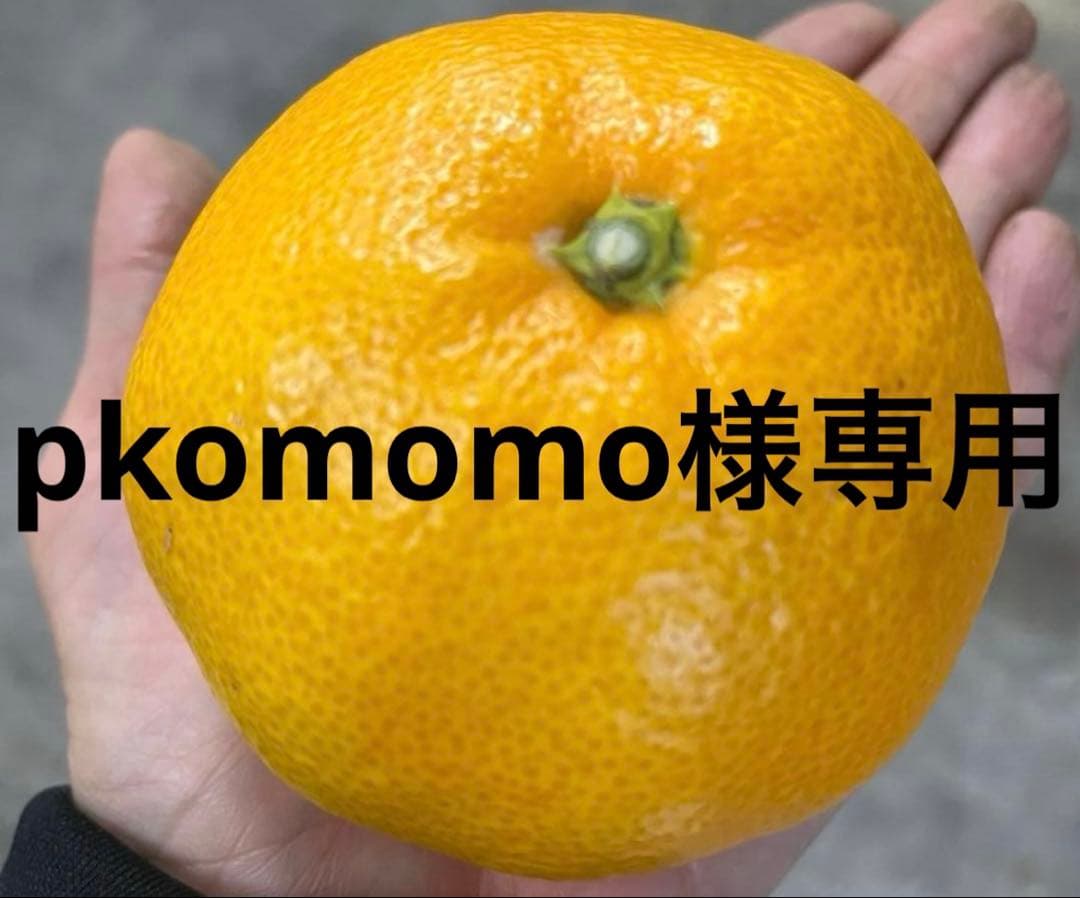 有田みかん　純宝丸　早生みかん10㎏入り2ケース