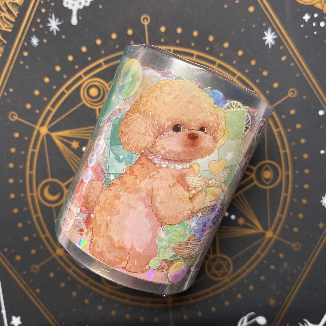 【G1】海外 10m巻　貝殻光マスキングテープ　お花系/動物系/装飾系/背景系