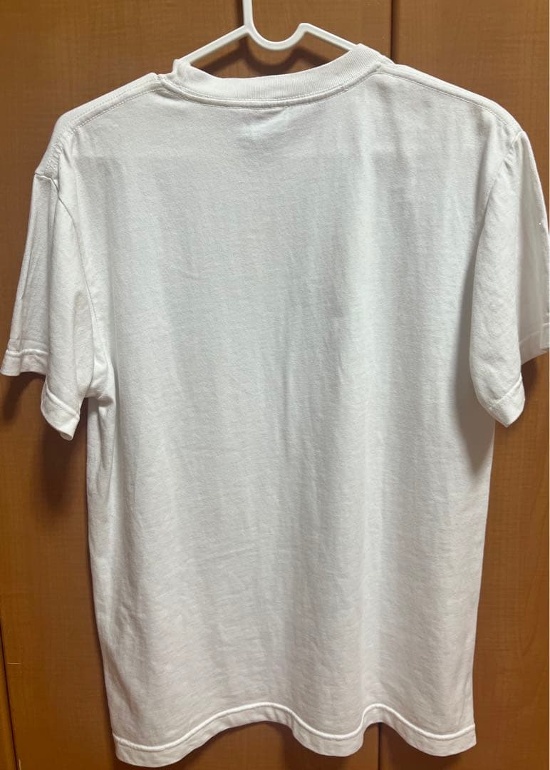 BUDDiiS FUMINORI ふみT