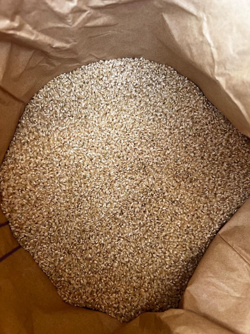 新潟南魚沼産 新米コシヒカリ 30kg 令和7年度産 玄米（特別栽培米)送料無料