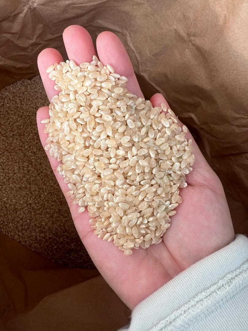 新潟南魚沼産 新米コシヒカリ 30kg 令和7年度産 玄米（特別栽培米)送料無料