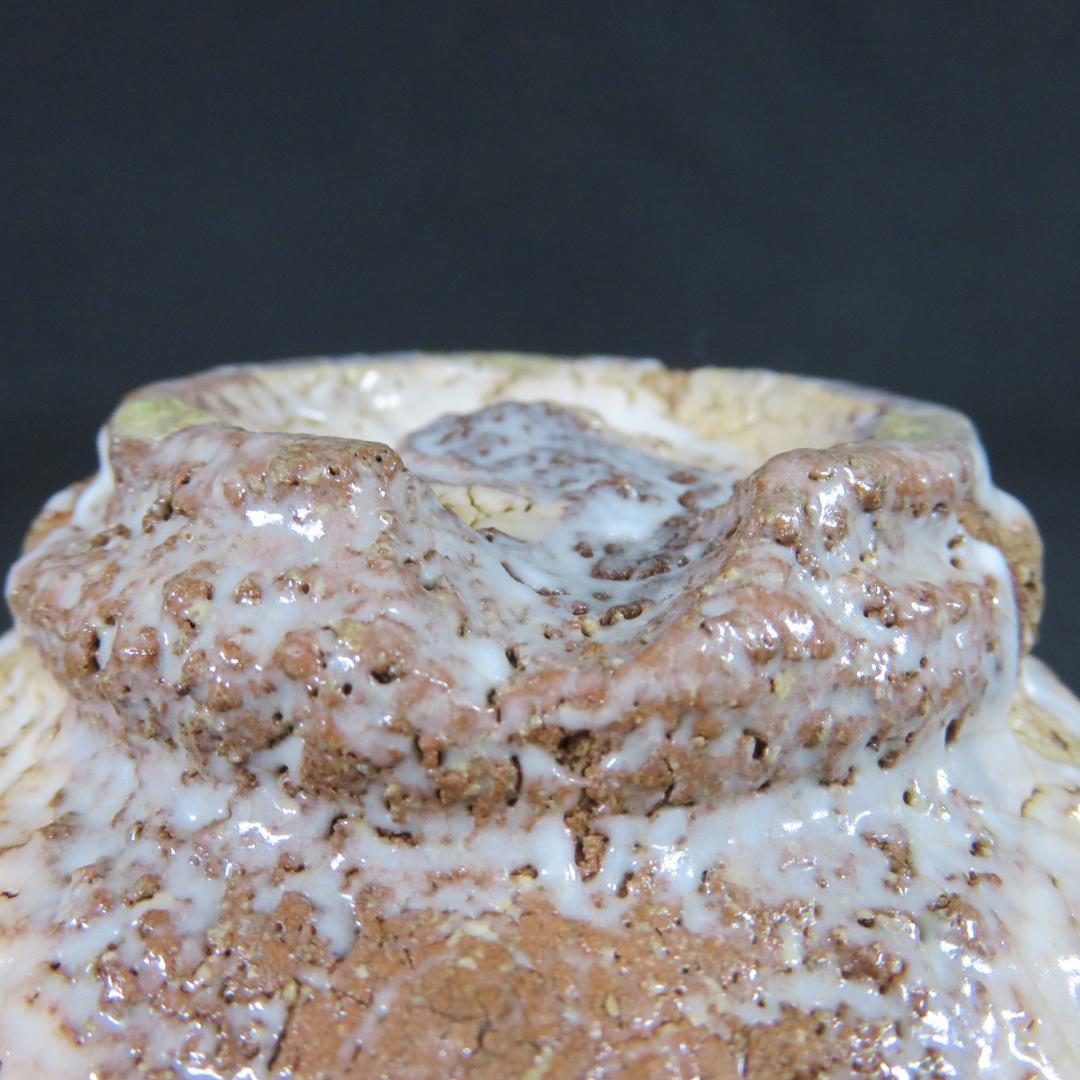 茶碗 萩焼 渡辺栄泉 美品 共箱 木箱 抹茶碗 茶道具 茶器