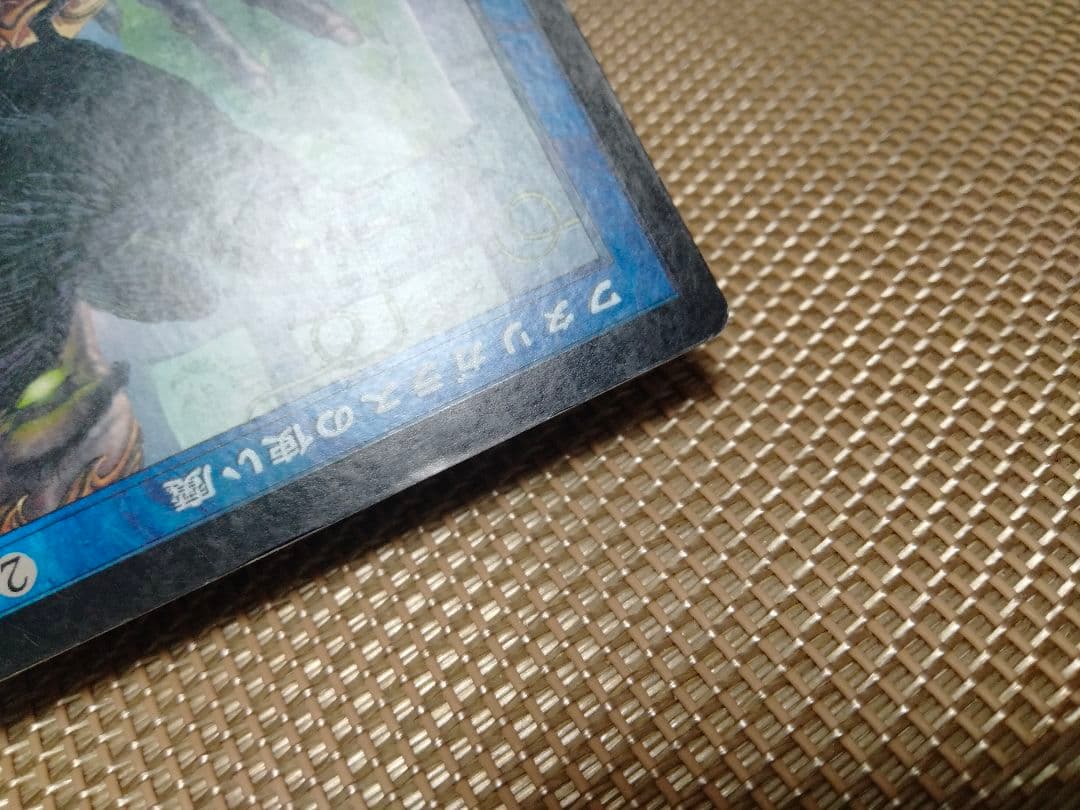 確認用】ウルザズ・レガシー foil ワタリガラスの使い魔 日本語1枚　MP寄り