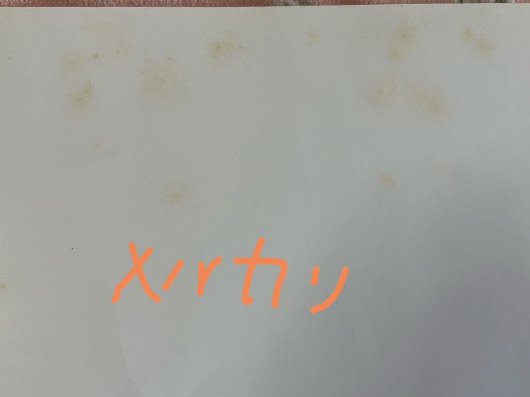 the GazettE DIM発売時当選品パネル&サイン入りポートレート非売品