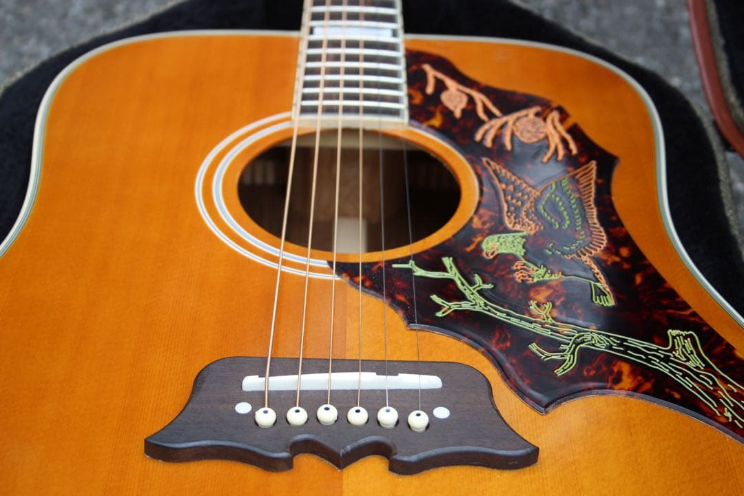 Epiphone Masterbilt Excellente ハードケース付き