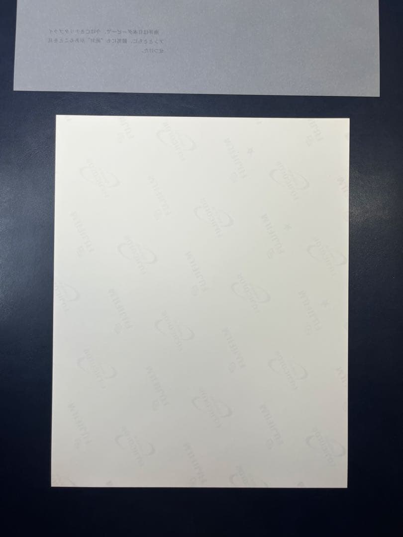 ファイター南井とお手馬4騎　報道写真集　限定保存版　希少