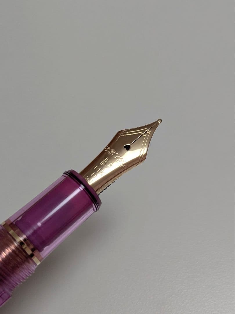 PLATINUM プラチナ 万年筆 #3776 センチュリー ニース リラ 太字