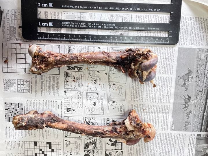 確認用　サイズの参考にしてください