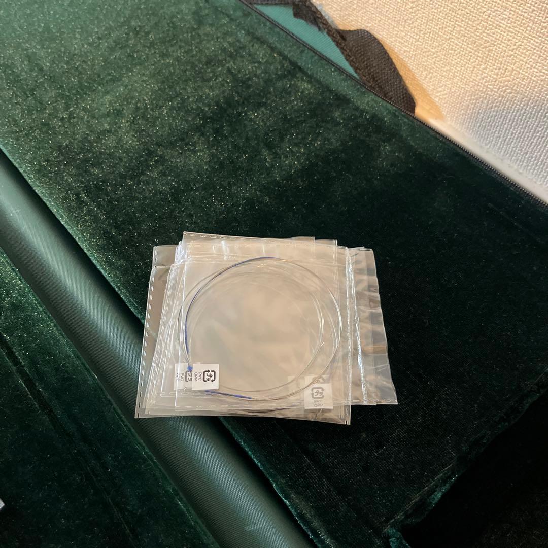 二胡　中国蘇州