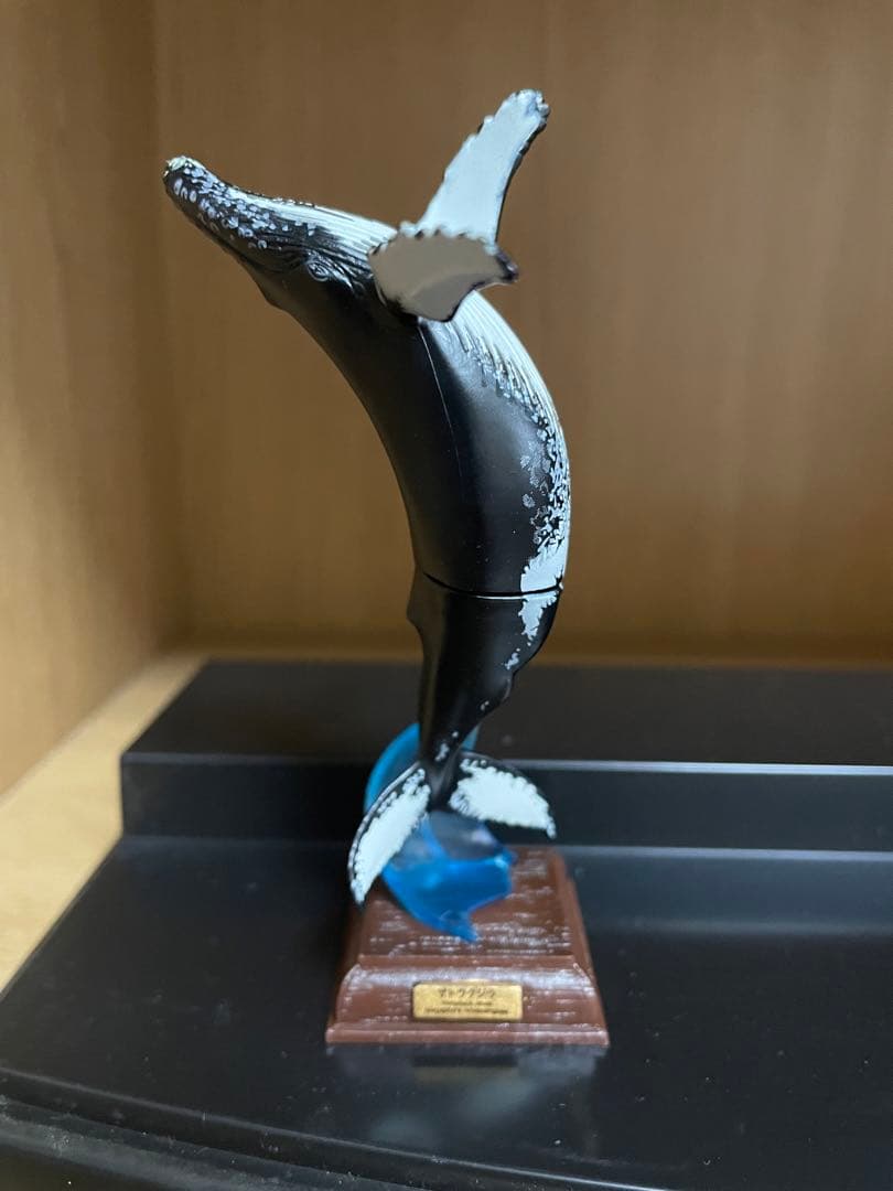 ネイチャーテクニカラー　海洋Ⅰ 初版　6種セット