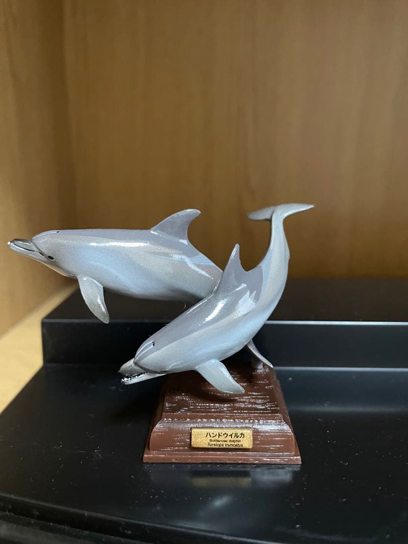 ネイチャーテクニカラー　海洋Ⅰ 初版　6種セット