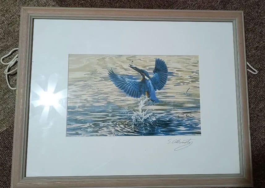 S.Okamoto カワセミハンティング 水彩画？ 版画？