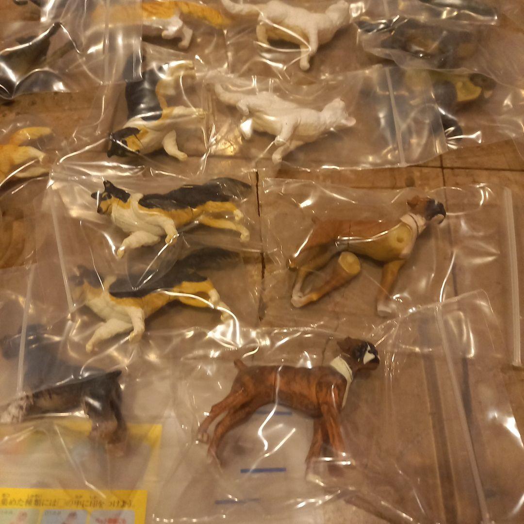 ★フルタ★チョコエッグ★ペット動物第4弾★14種28点★