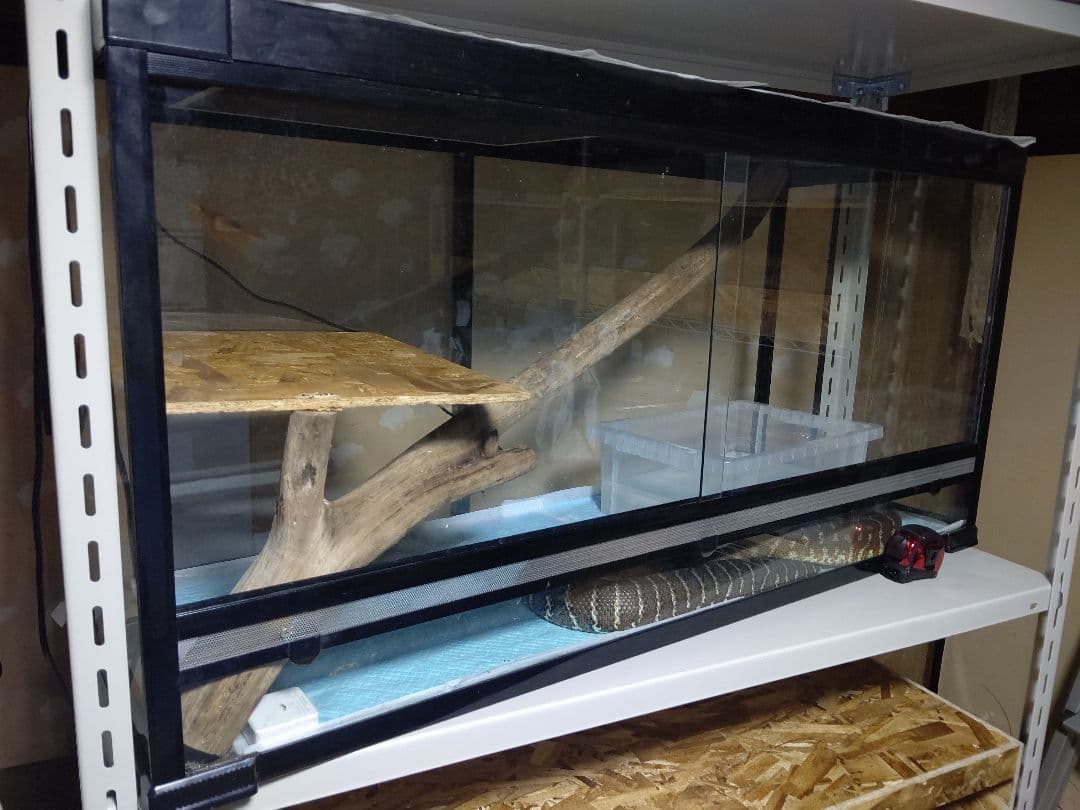 ハチクラオリジナルケージ120×45×60（ケージのみ）