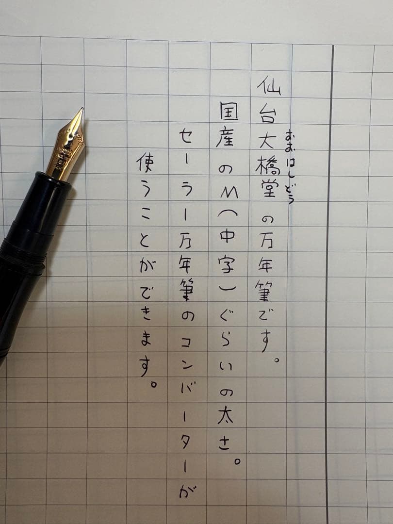 大橋堂｜万年筆｜エボナイト｜竹モデル｜M（中字）