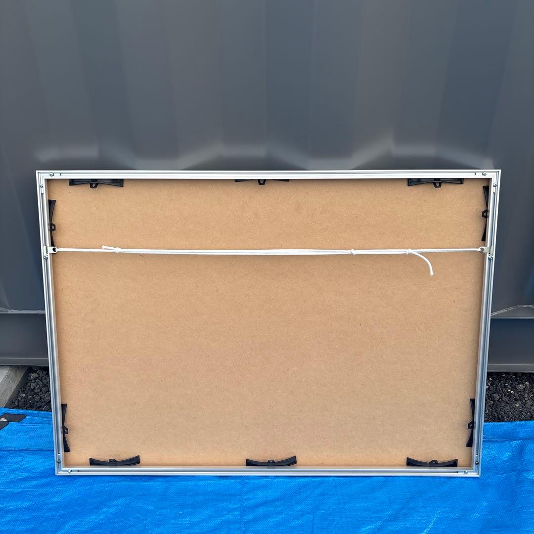 ジーコ直筆サイン付きシリアルナンバー入りZico Spiritレプリカフレーム付