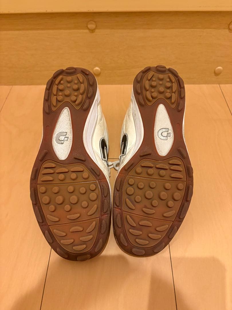 Desporte デスポルチ フットサルシューズ