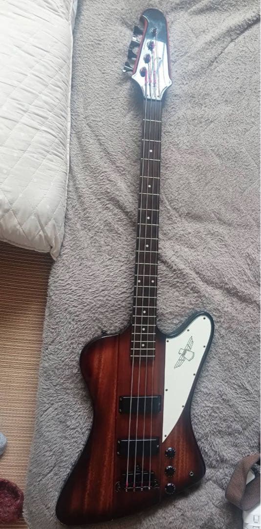 エピフォン　Thunder bird