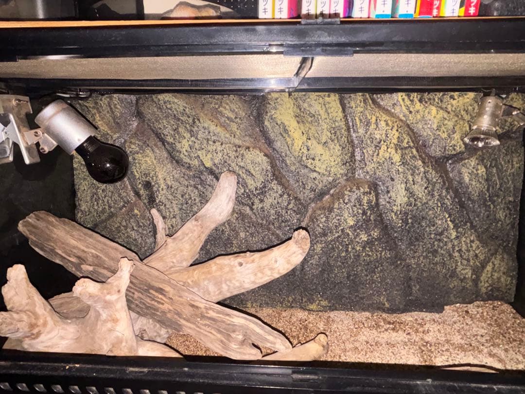 大型飼育ケージ 照明付き