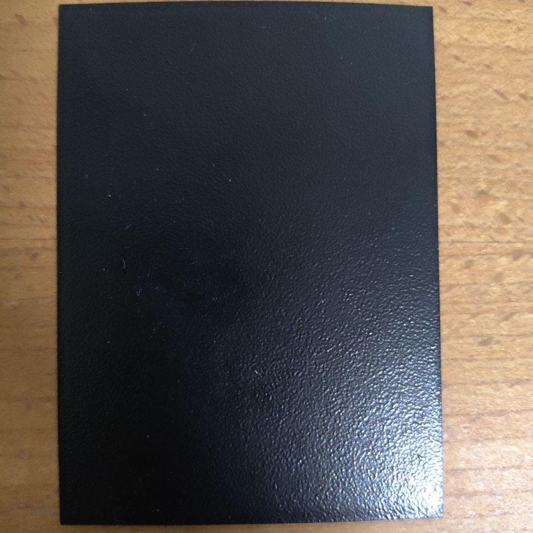 に*ら様 MTG スピラの希望、ユウナ 日本語ボーダーレスfoil